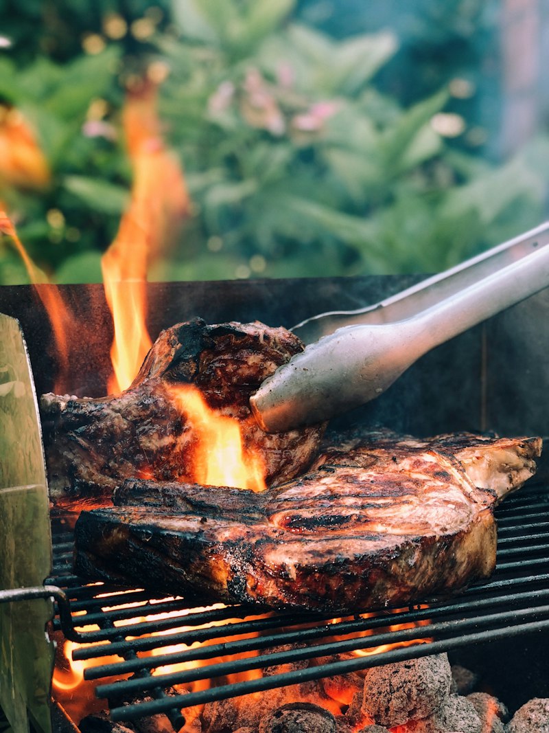 Viande grillée sur le feu